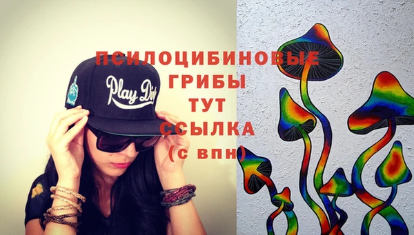 ПСИЛОЦИБИНОВЫЕ ГРИБЫ Армянск