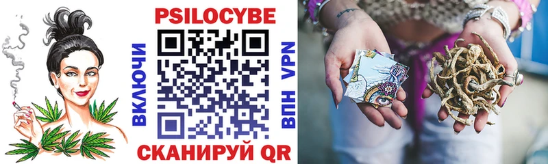 OMG ССЫЛКА Цивильск Галлюциногенные грибы GOLDEN TEACHER